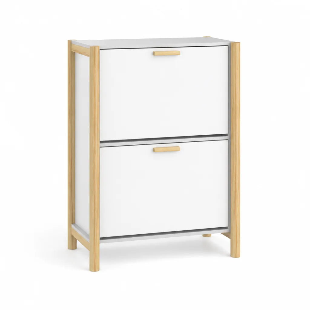 Slim Entryway Shoe Cabinet with Enclosed Doors